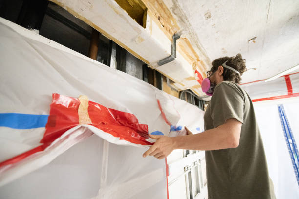 Best Mold Odor Removal Services  in Elwood, IN