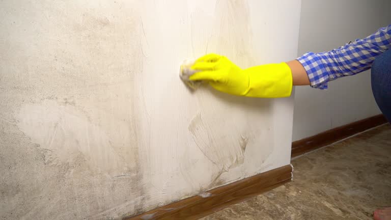 Mold Removal for HVAC Installations in Elwood, IN