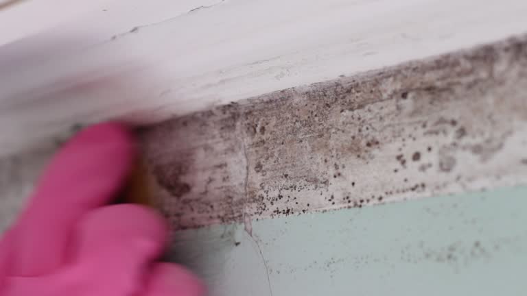 Best Indoor Air Quality Assessment  in Elwood, IN
